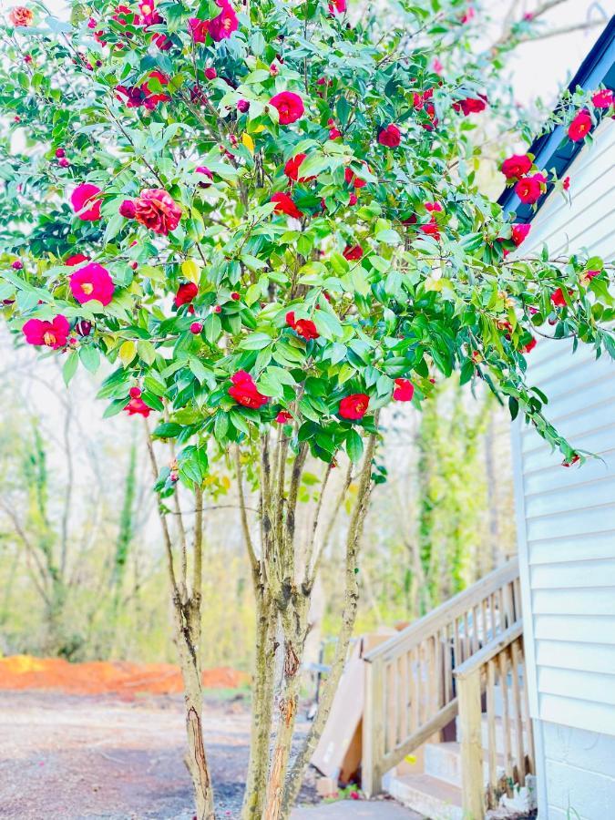 Bountyland Cottage - Lake Keowee - Mountains - Clemson University Seneca Eksteriør billede